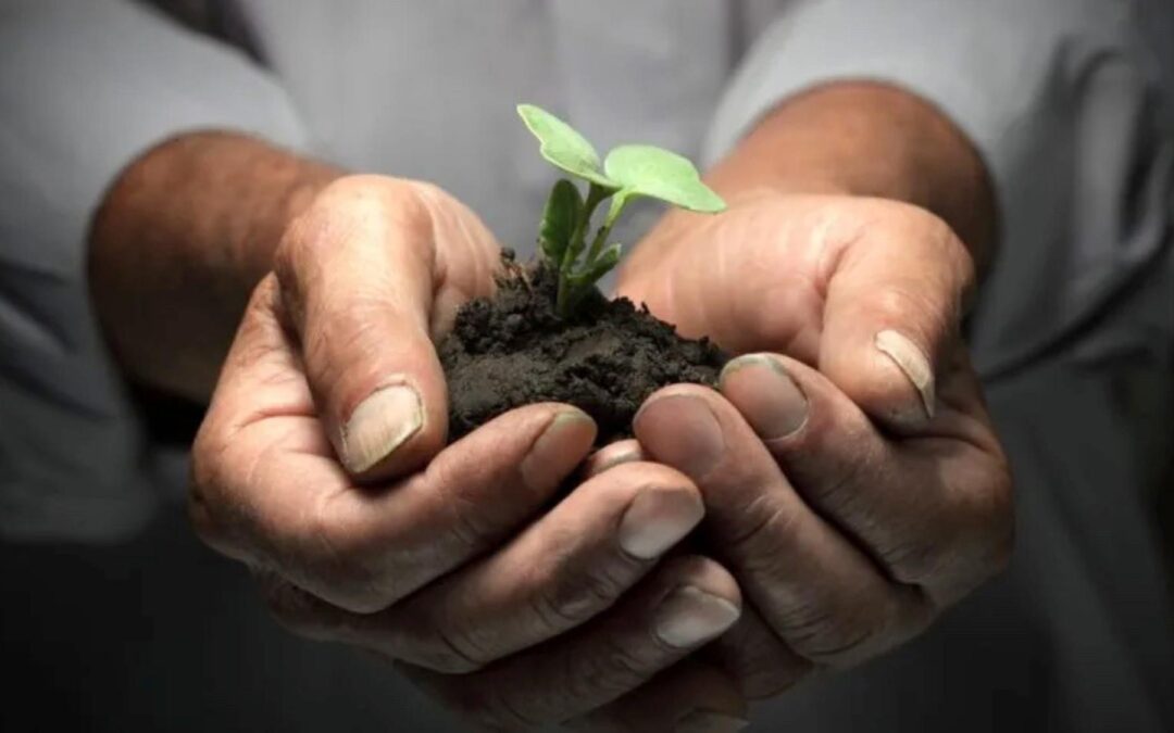 9 Things You MUST Do Today to Grow Your Small Business